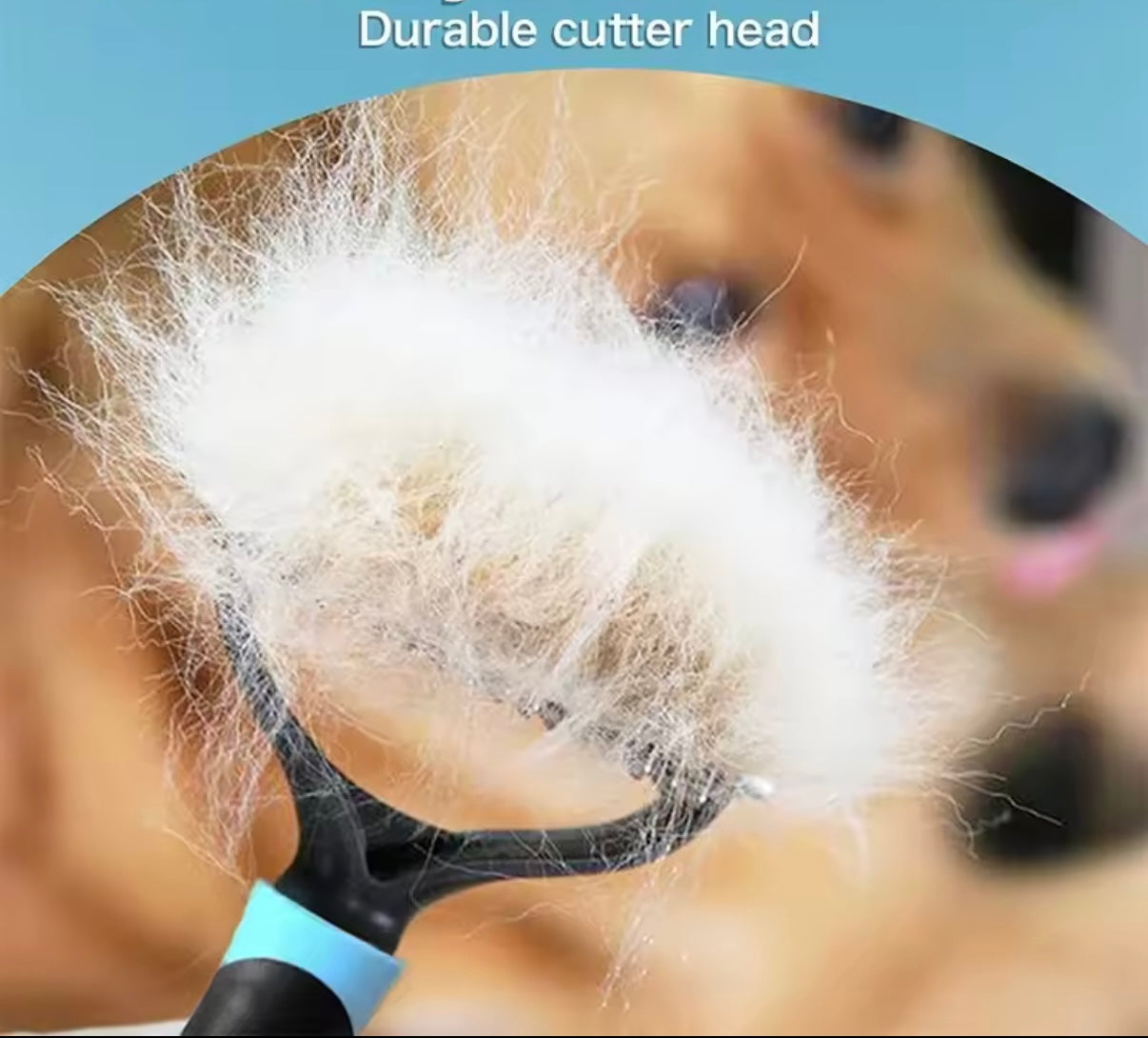 Brosse de toilettage pour chien / chat